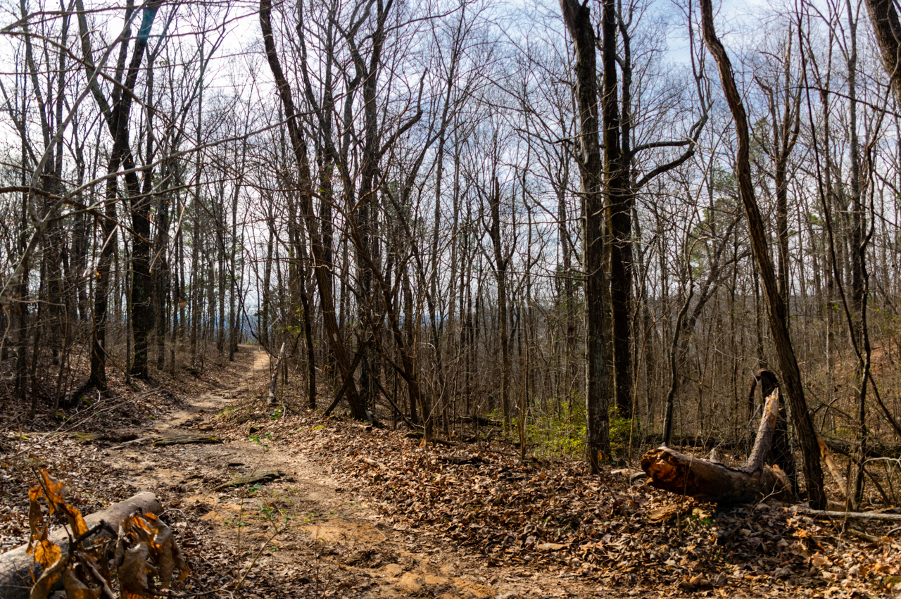 Monte Sano Winter Fire Tower Trail