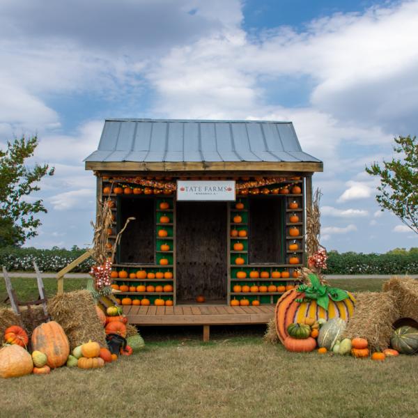 Tate Farms