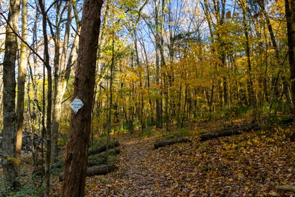 Wildflower Trail Winter