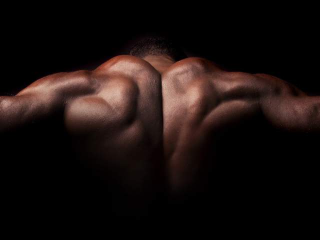 6 Things to Know about Body Building Competitions