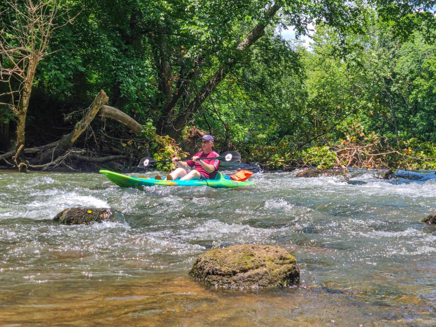 Brown Bear on the Flint River by Jenn Coleman of Coleman Concierge