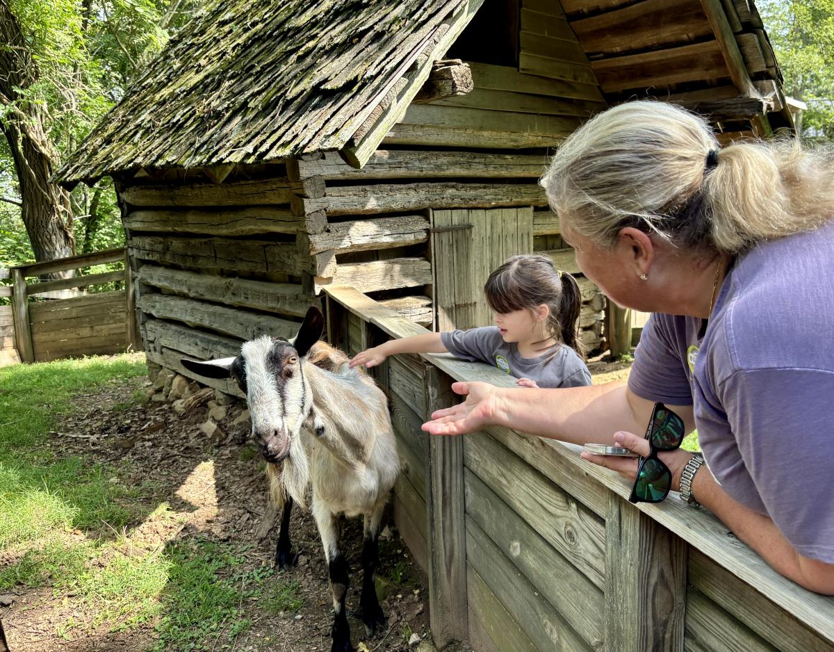 Child interacting with a goat at Burritt on the Mountain, a living history park in Huntsville, Alabama.