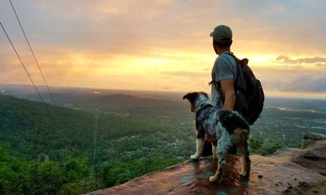 Dog Hiking