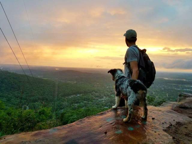 Dog's Vacation Guide for Huntsville