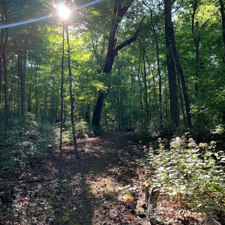 Chapman Mountain Chasco Trail