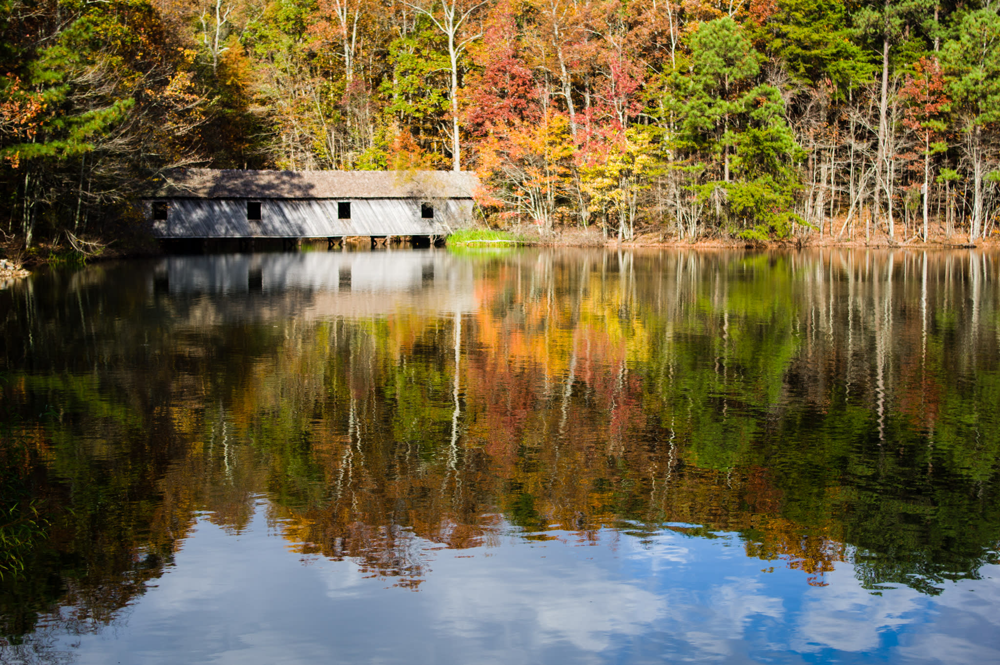 covered bridge, fall leaves, Green Mountain, Madison County Nature Trail, pond