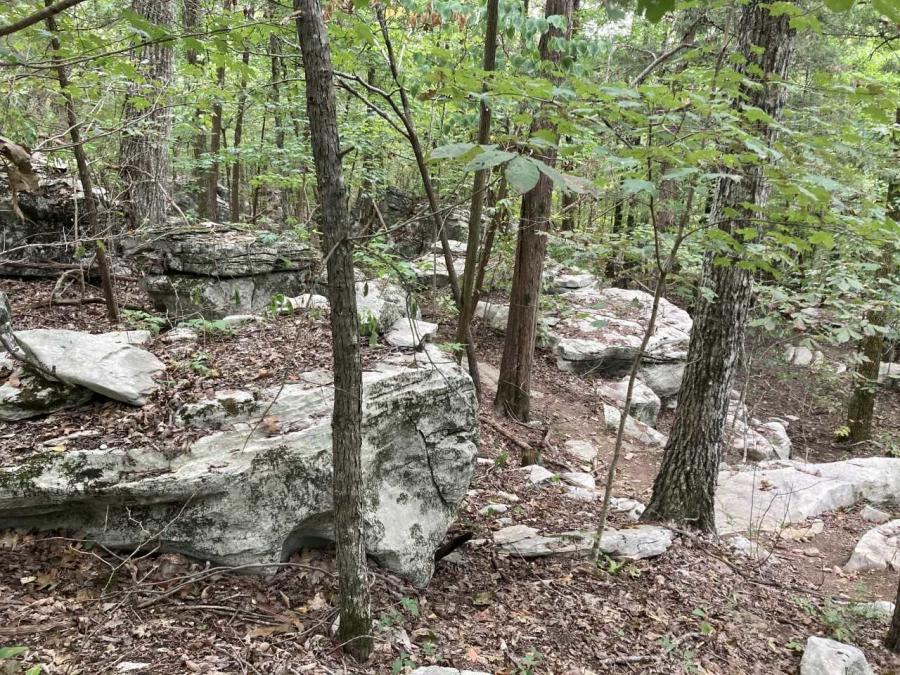 Wade Mountain