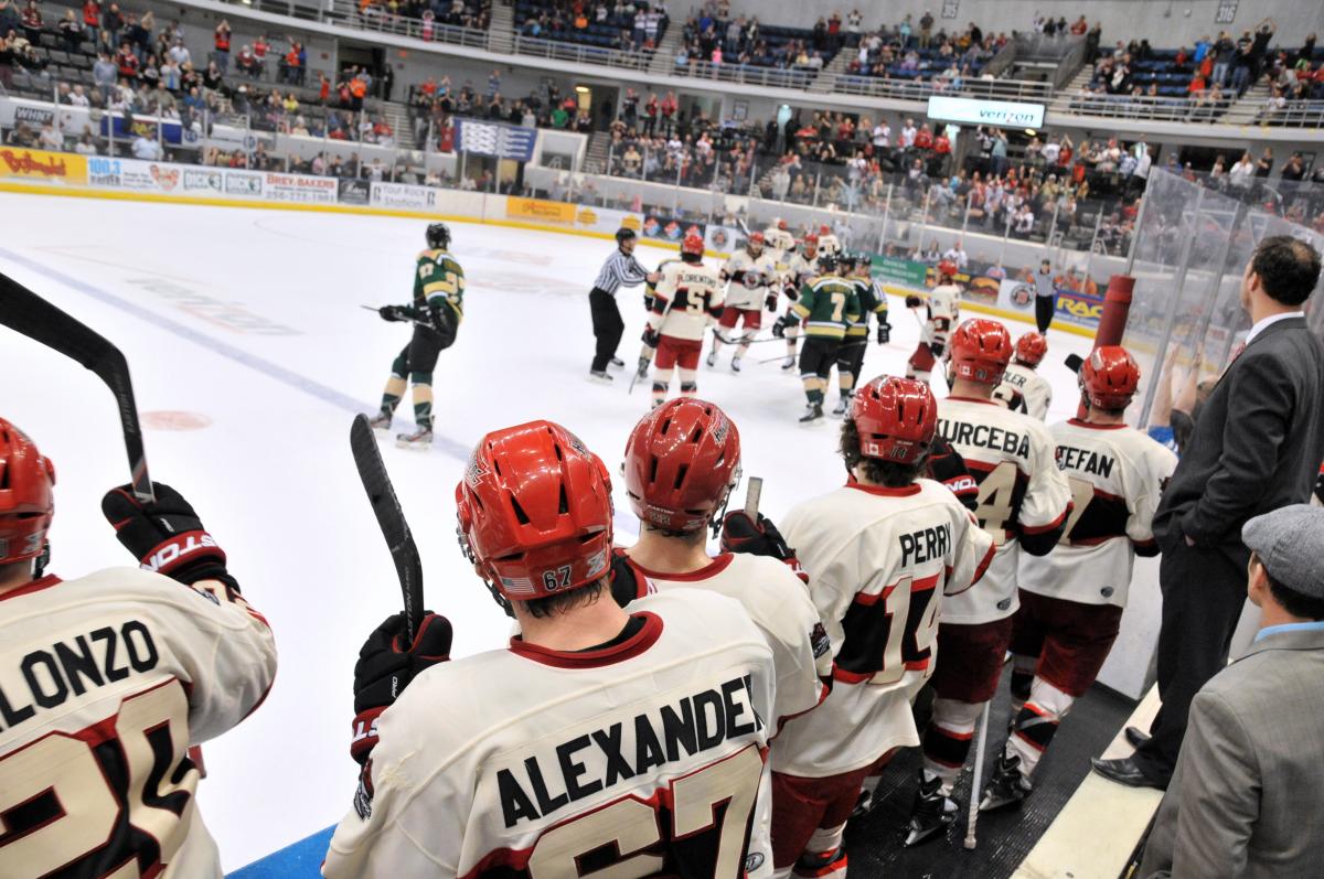 Huntsville Havoc hockey players on bench with fans cheering in stands