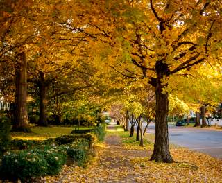 Enjoy the Top Things to Do in the Fall in Huntsville, Alabama