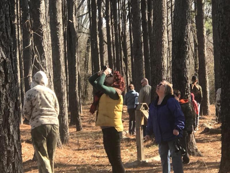 Birding Goldsmith-Schiffman