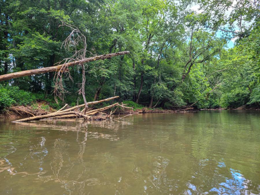 Flint River by Jenn Coleman of Coleman Concierge