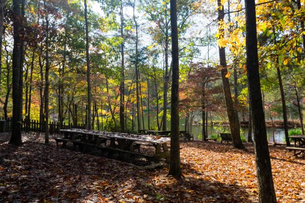 Green-Mountain-Madison-County-Nature-Trail-4