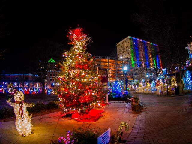 Tinsel Trail