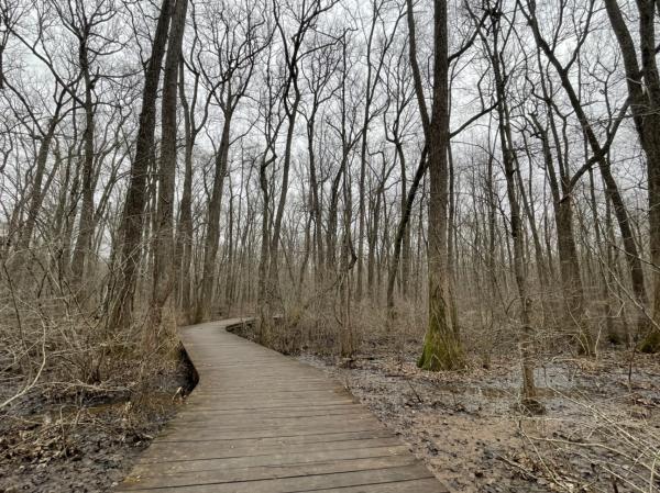 Beaverdam Boardwalk