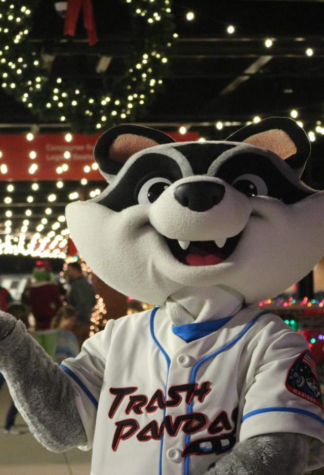 Trash Panda 2020