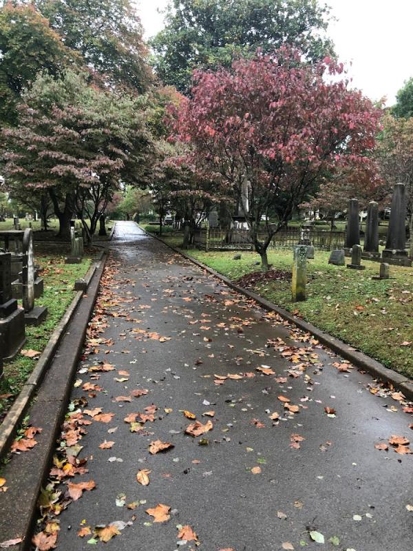 Maple Hill Fall