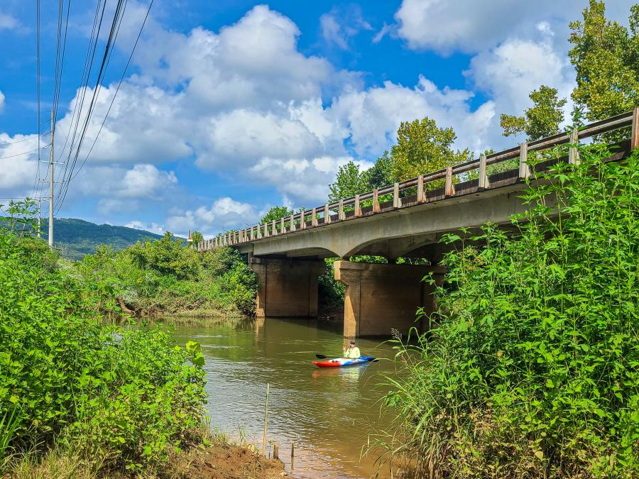Kayaking Flint River