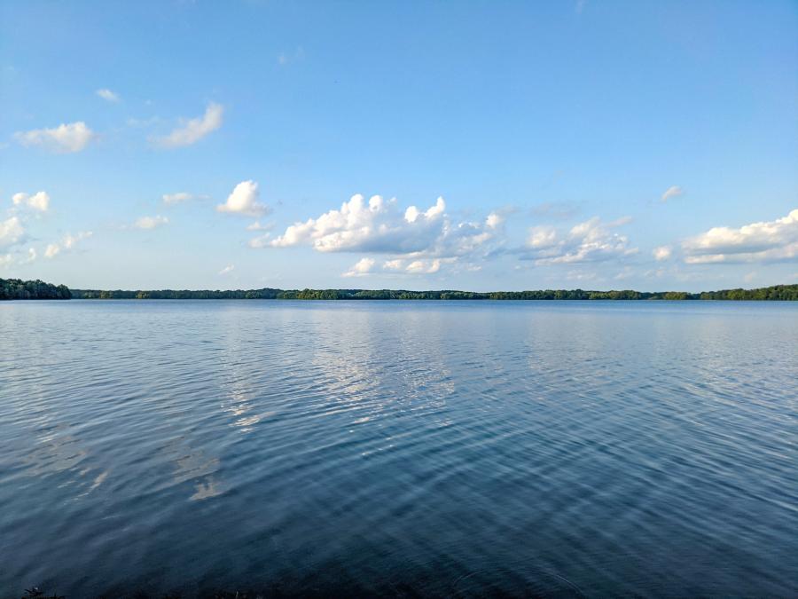 Limestone Bay by Jenn Coleman of Coleman Concierge