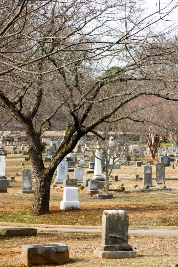 Historic gravestones and leafless trees at Maple Hill Cemetery in Huntsville