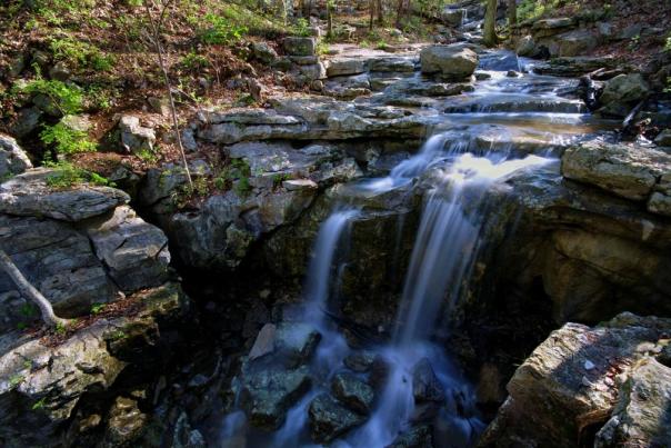 Monte Sano Wildflower Trail Fall