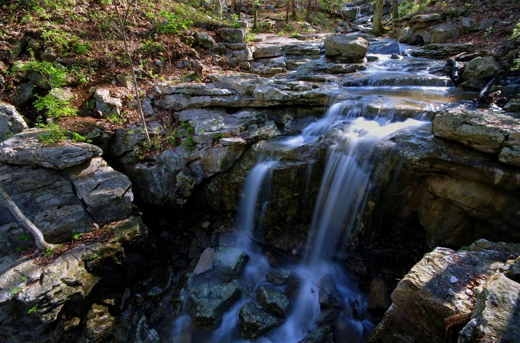 Monte Sano Wildflower Trail Fall