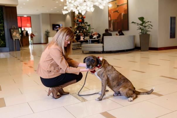 Sid at Westin - Santa Paws