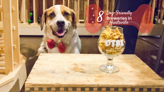 dog-breweries-slider-1