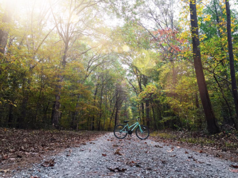 Wheeler-trail-and-bike_haileyclemmons
